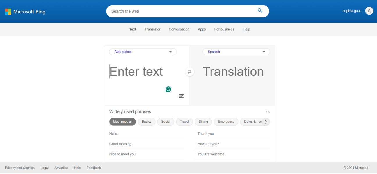 Screenshot of Bing Microsoft Translator